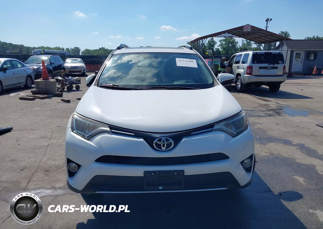 2016 Toyota Rav4 Xle VIN:JTMWFREV4GJ100382 - 12