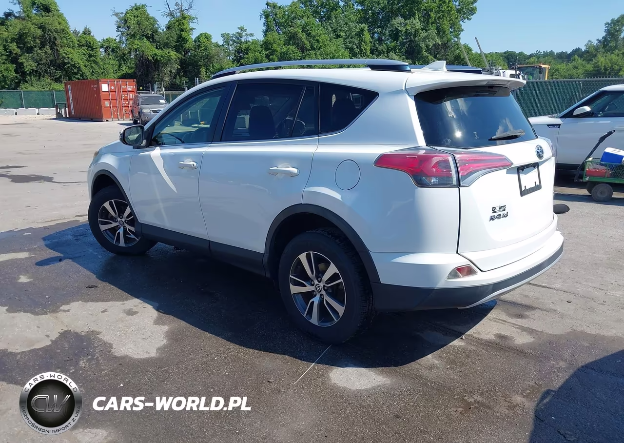 2016 Toyota Rav4 Xle VIN:JTMWFREV4GJ100382 - 3