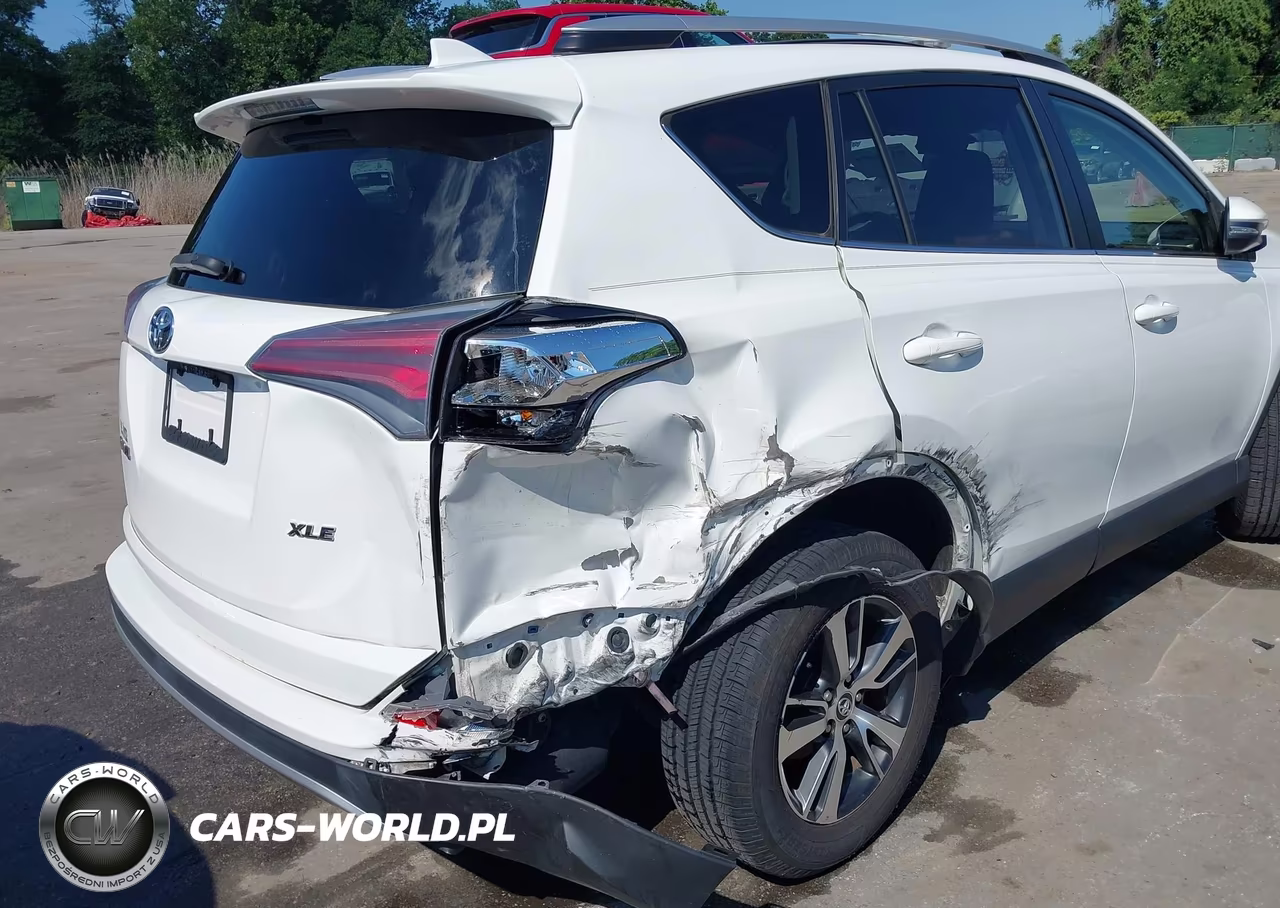 2016 Toyota Rav4 Xle VIN:JTMWFREV4GJ100382 - 6