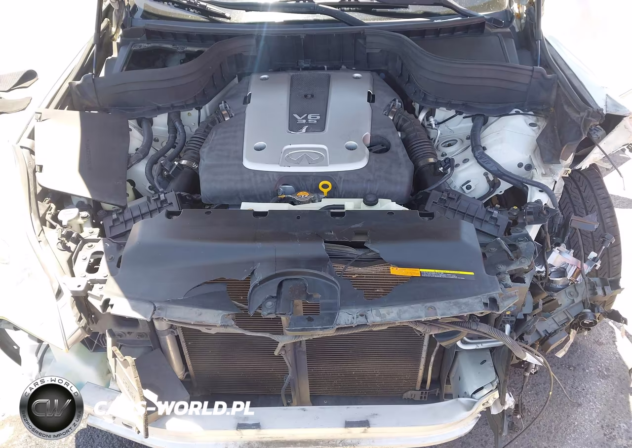 2008 Infiniti Ex35 Journey VIN:JNKAJ09E38M306662 - 10