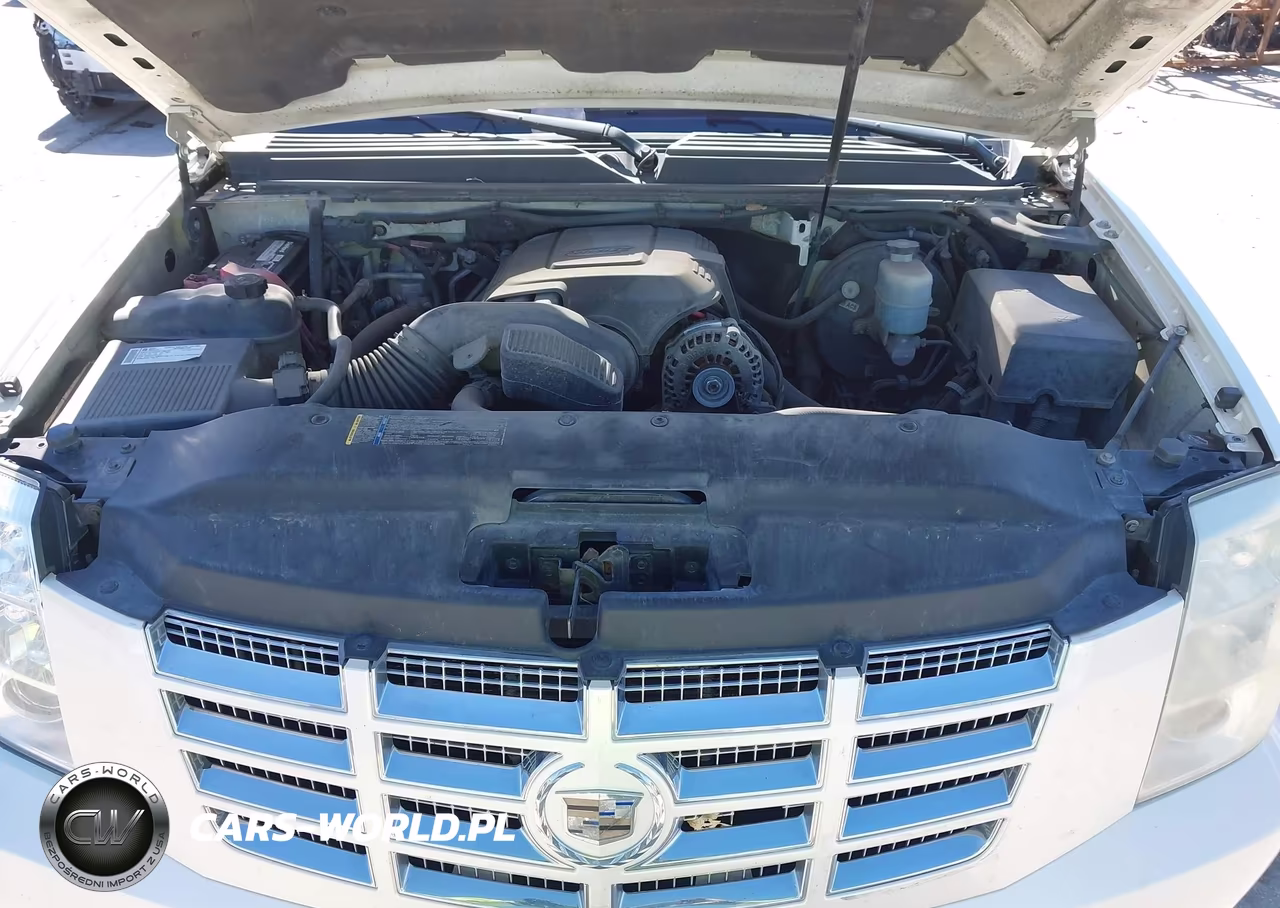 2009 Cadillac Escalade Esv Standard VIN:1GYFK26289R121077 - 10