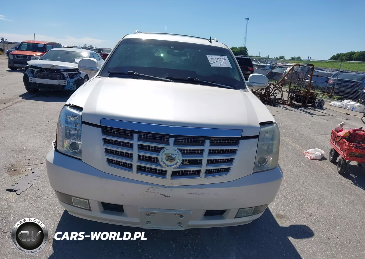 2009 Cadillac Escalade Esv Standard VIN:1GYFK26289R121077 - 12
