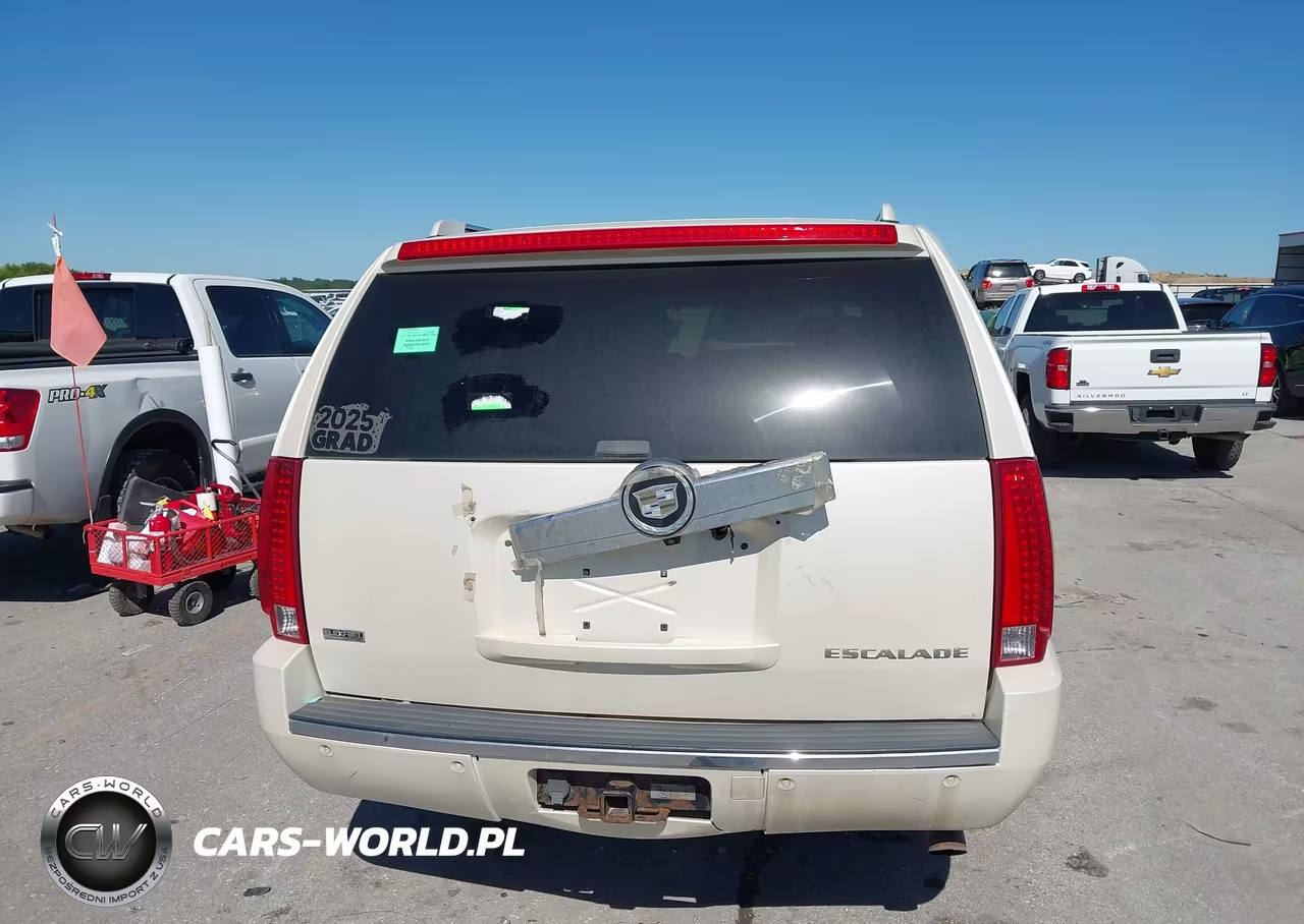 2009 Cadillac Escalade Esv Standard VIN:1GYFK26289R121077 - 21