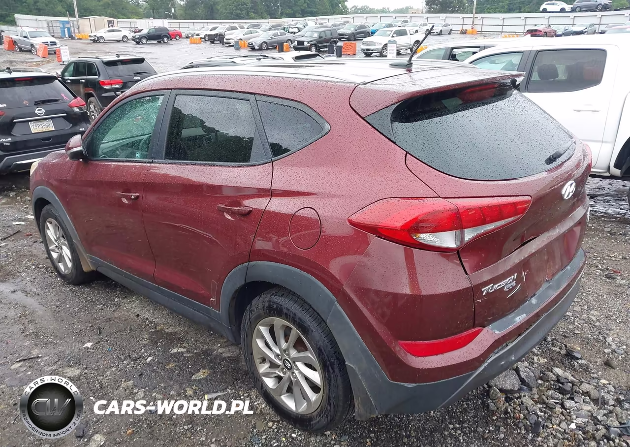 2016 Hyundai Tucson Eco VIN:KM8J3CA26GU023973 - 3