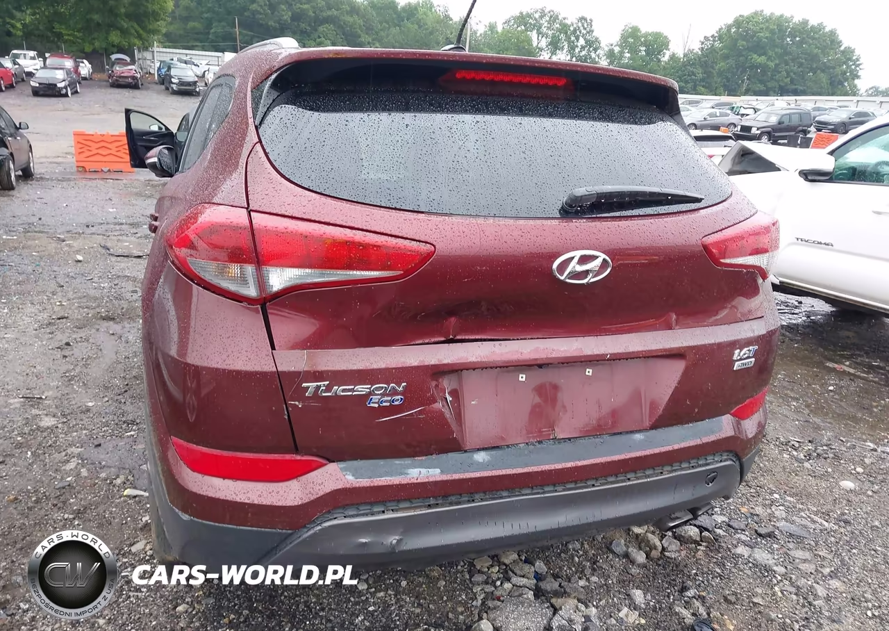 2016 Hyundai Tucson Eco VIN:KM8J3CA26GU023973 - 6