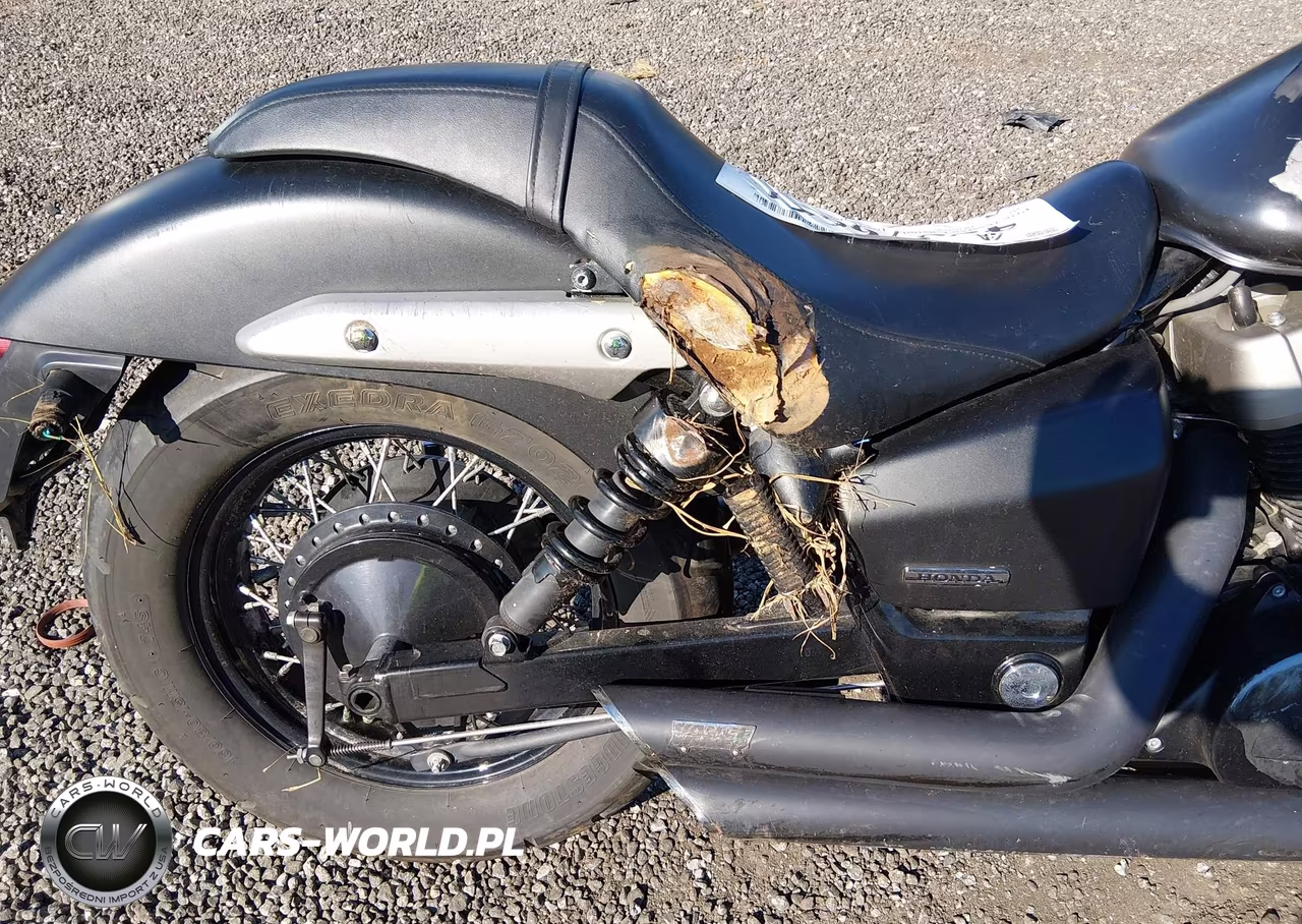 2012 Honda Vt750 C2B VIN:JH2RC5374CK200741 - 13
