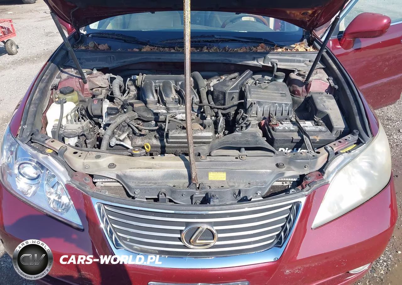 2007 Lexus Es 350 VIN:JTHBJ46GX72050239 - 10