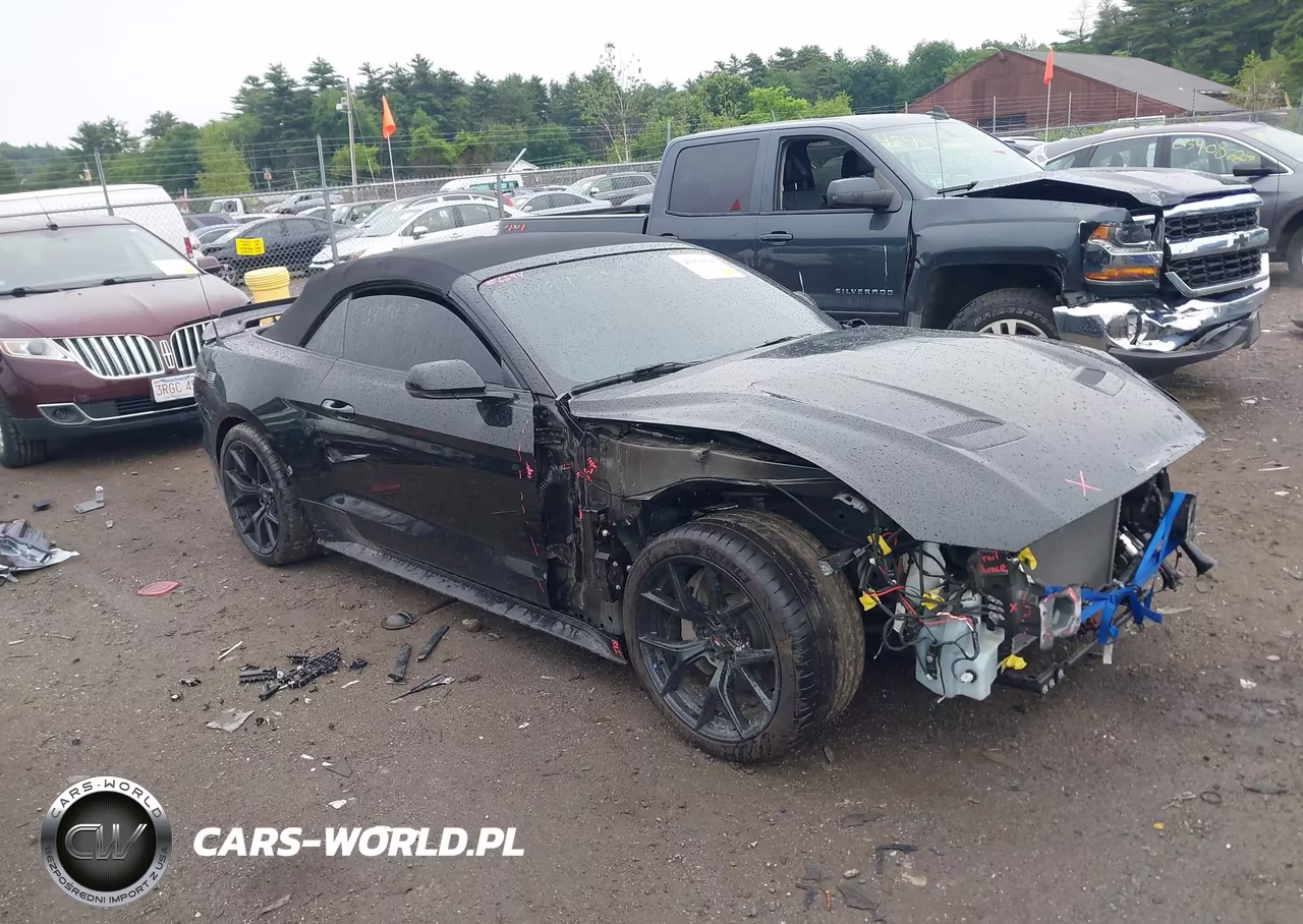 2019 Ford Mustang Gt Premium