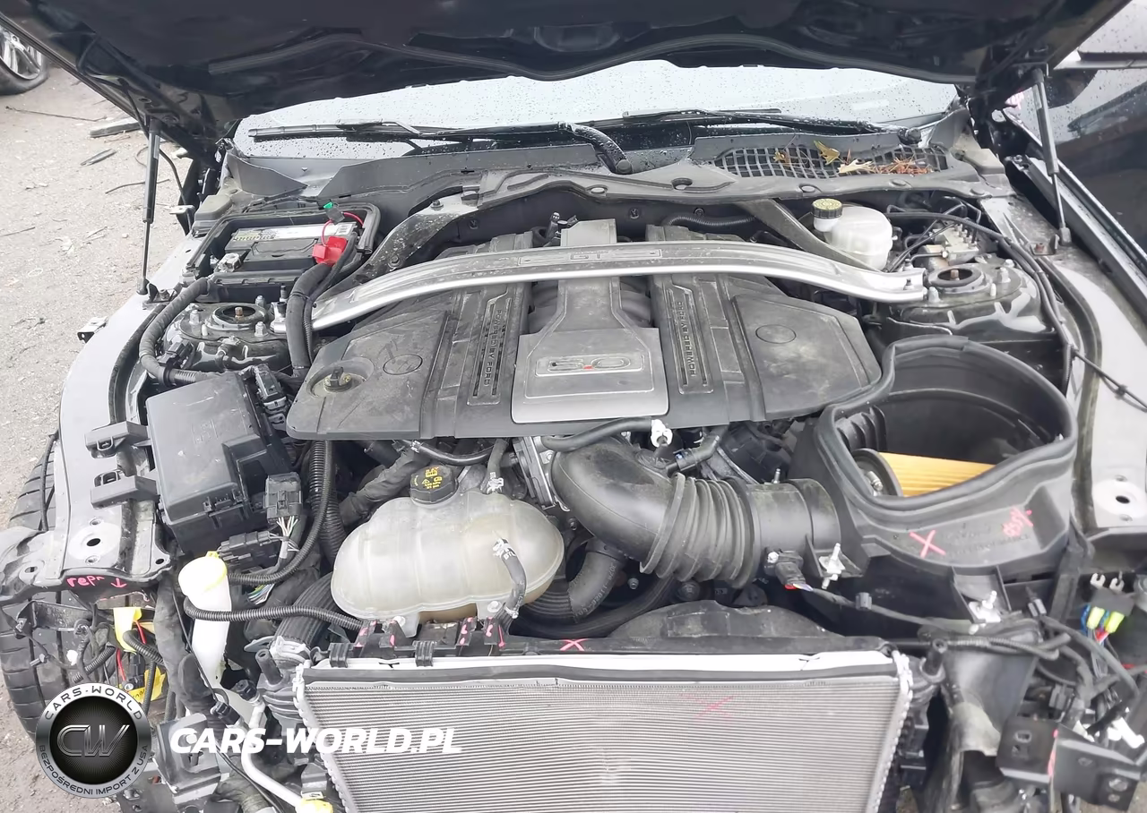 2019 Ford Mustang Gt Premium VIN:1FATP8FF0K5131931 - 10
