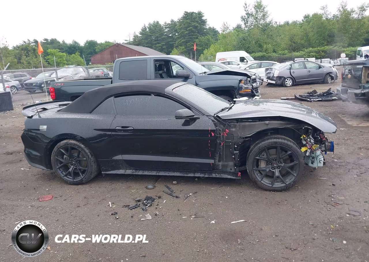 2019 Ford Mustang Gt Premium VIN:1FATP8FF0K5131931 - 14