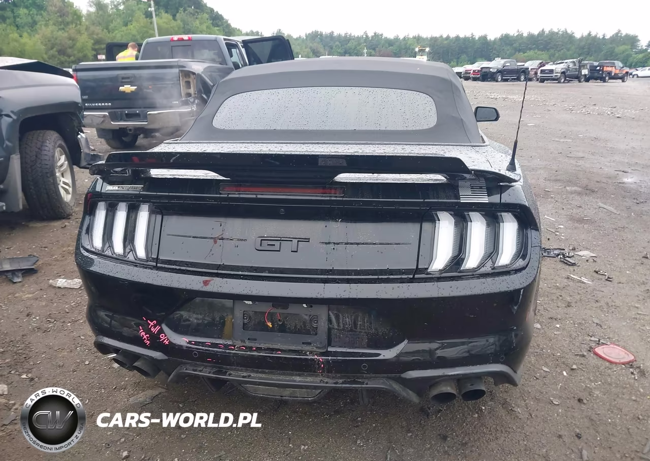 2019 Ford Mustang Gt Premium VIN:1FATP8FF0K5131931 - 17
