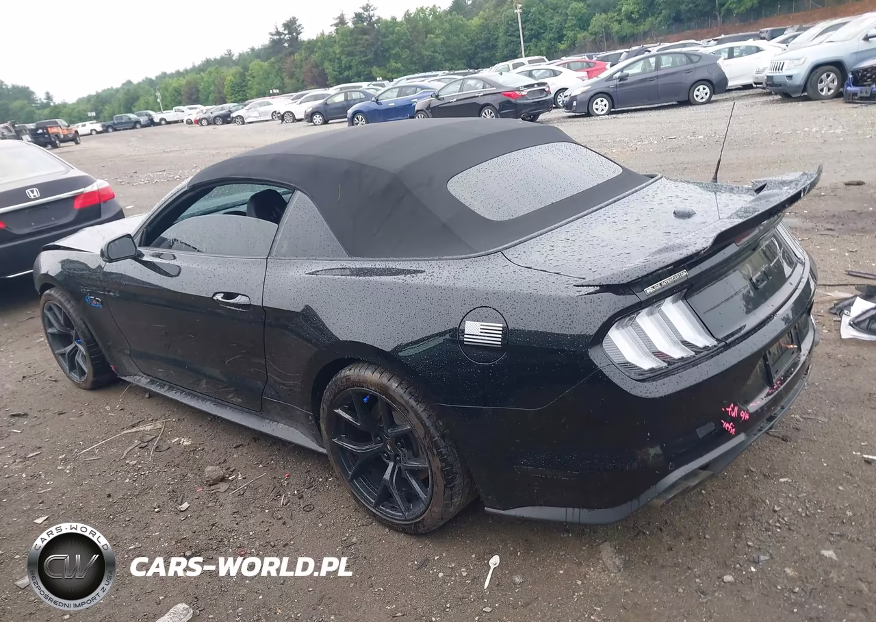 2019 Ford Mustang Gt Premium VIN:1FATP8FF0K5131931 - 3