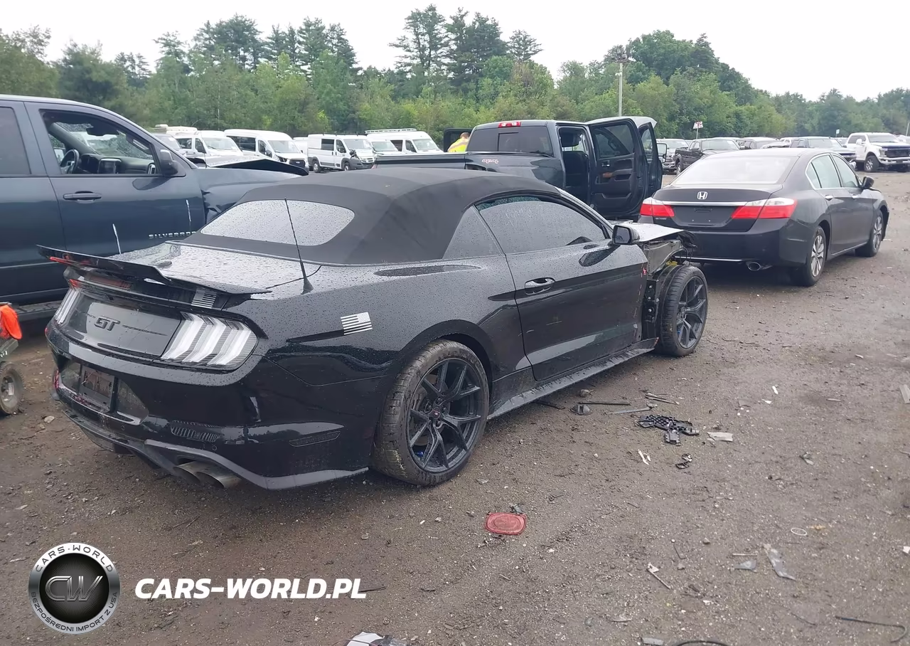 2019 Ford Mustang Gt Premium VIN:1FATP8FF0K5131931 - 4