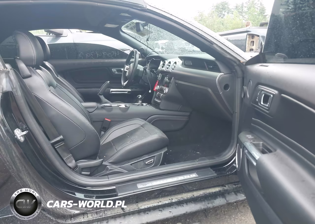 2019 Ford Mustang Gt Premium VIN:1FATP8FF0K5131931 - 5
