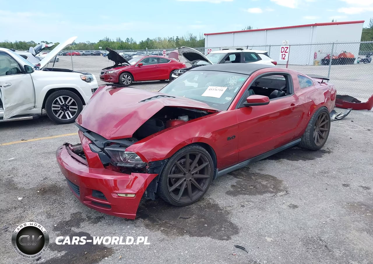 2011 Ford Mustang Gt Premium VIN:1ZVBP8CF6B5110363 - 2