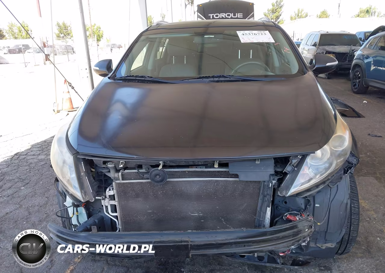 2016 Kia Sportage Ex VIN:KNDPC3AC1G7807628 - 13