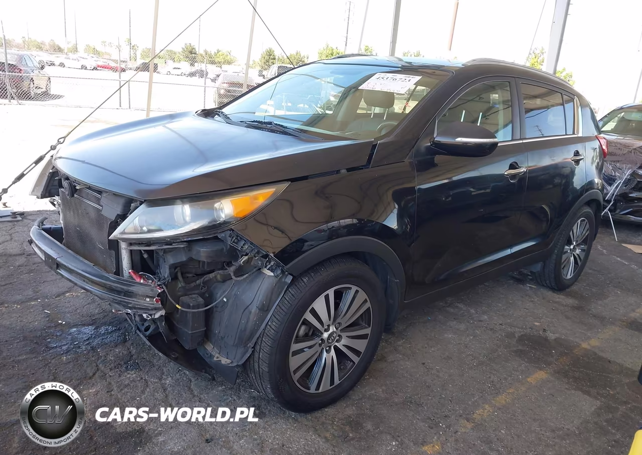 2016 Kia Sportage Ex VIN:KNDPC3AC1G7807628 - 2