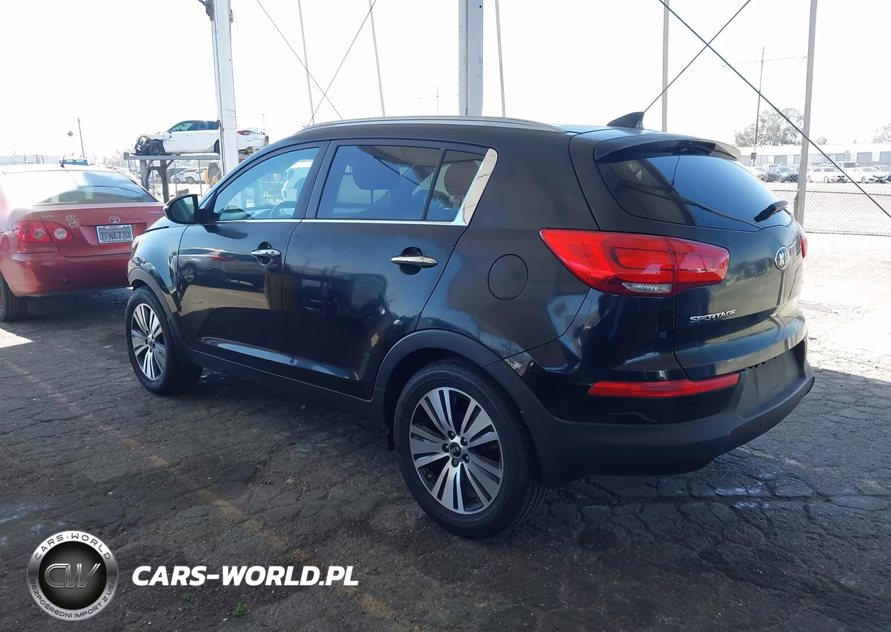 2016 Kia Sportage Ex VIN:KNDPC3AC1G7807628 - 3