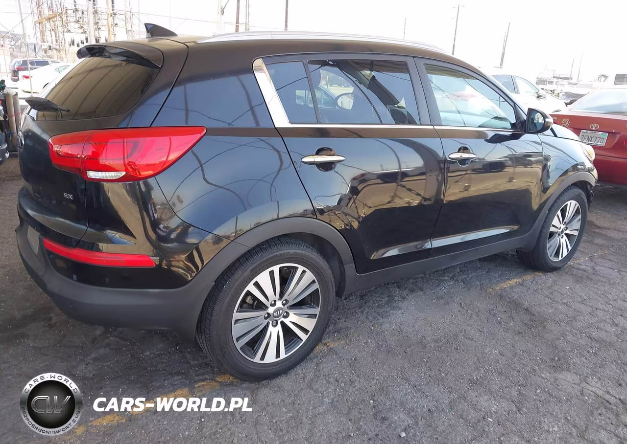 2016 Kia Sportage Ex VIN:KNDPC3AC1G7807628 - 4