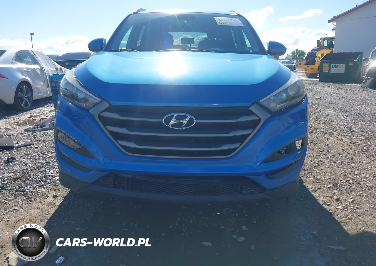 2016 Hyundai Tucson Se VIN:KM8J3CA47GU203366 - 12