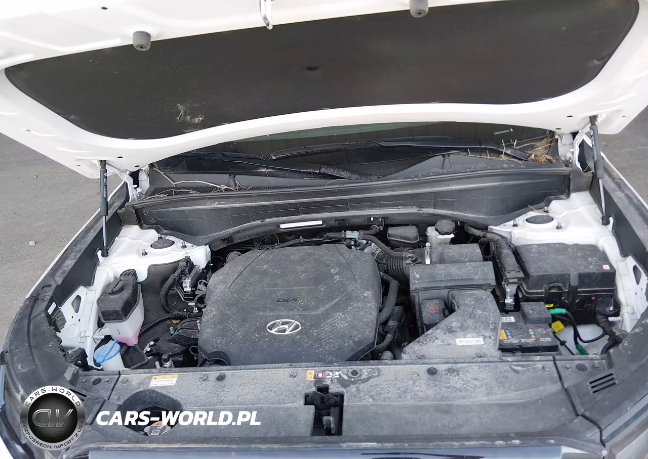 2024 Hyundai Palisade Sel VIN:KM8R44GE3RU758744 - 10
