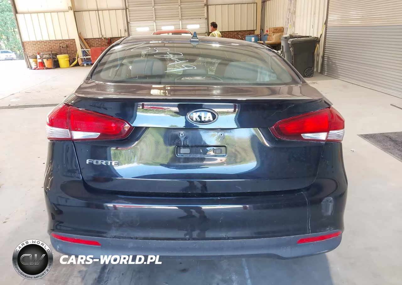 2017 Kia Forte Lx VIN:3KPFK4A77HE054549 - 17