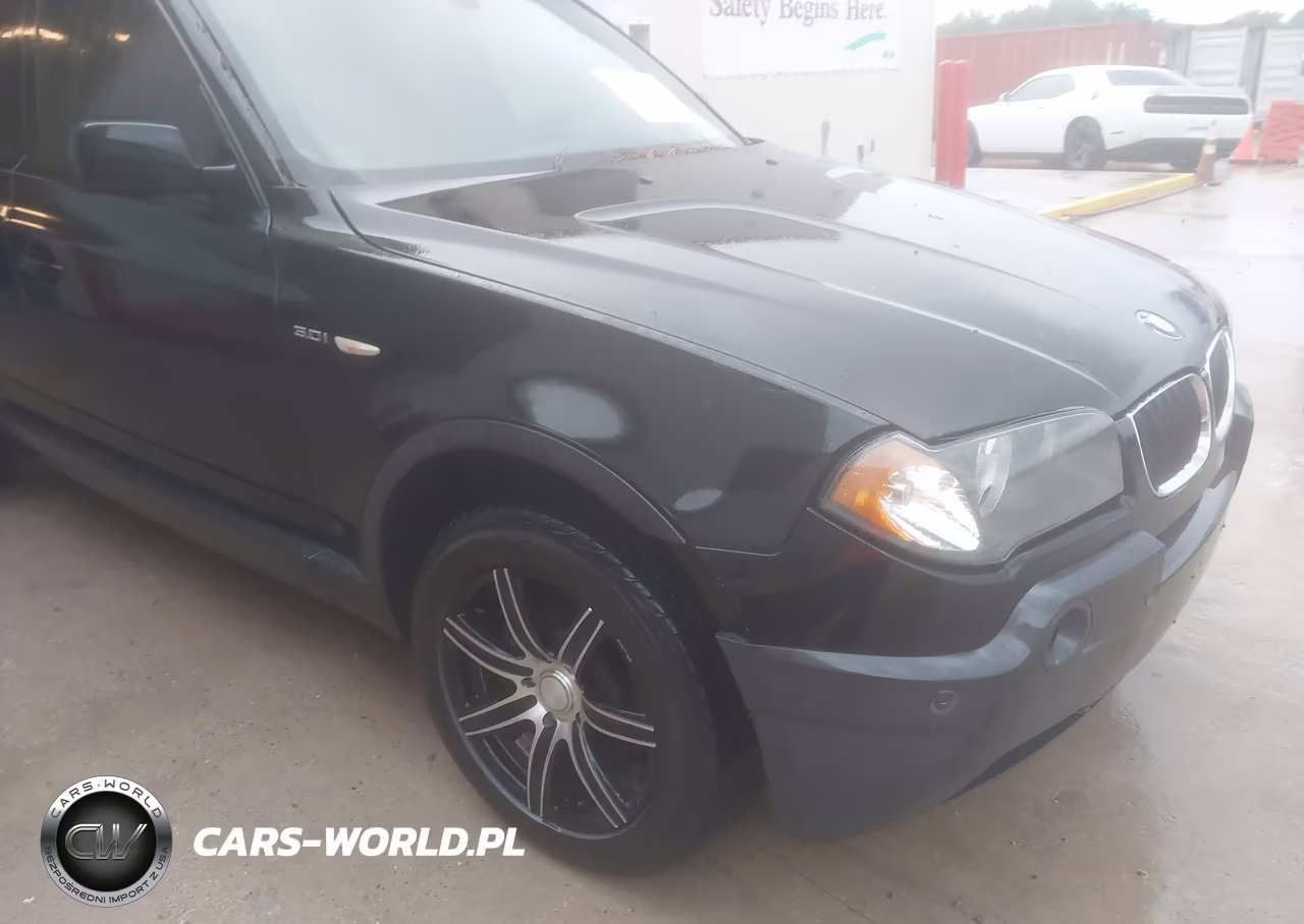 2005 BMW X3 3.0I VIN:WBXPA93445WD15778 - 6