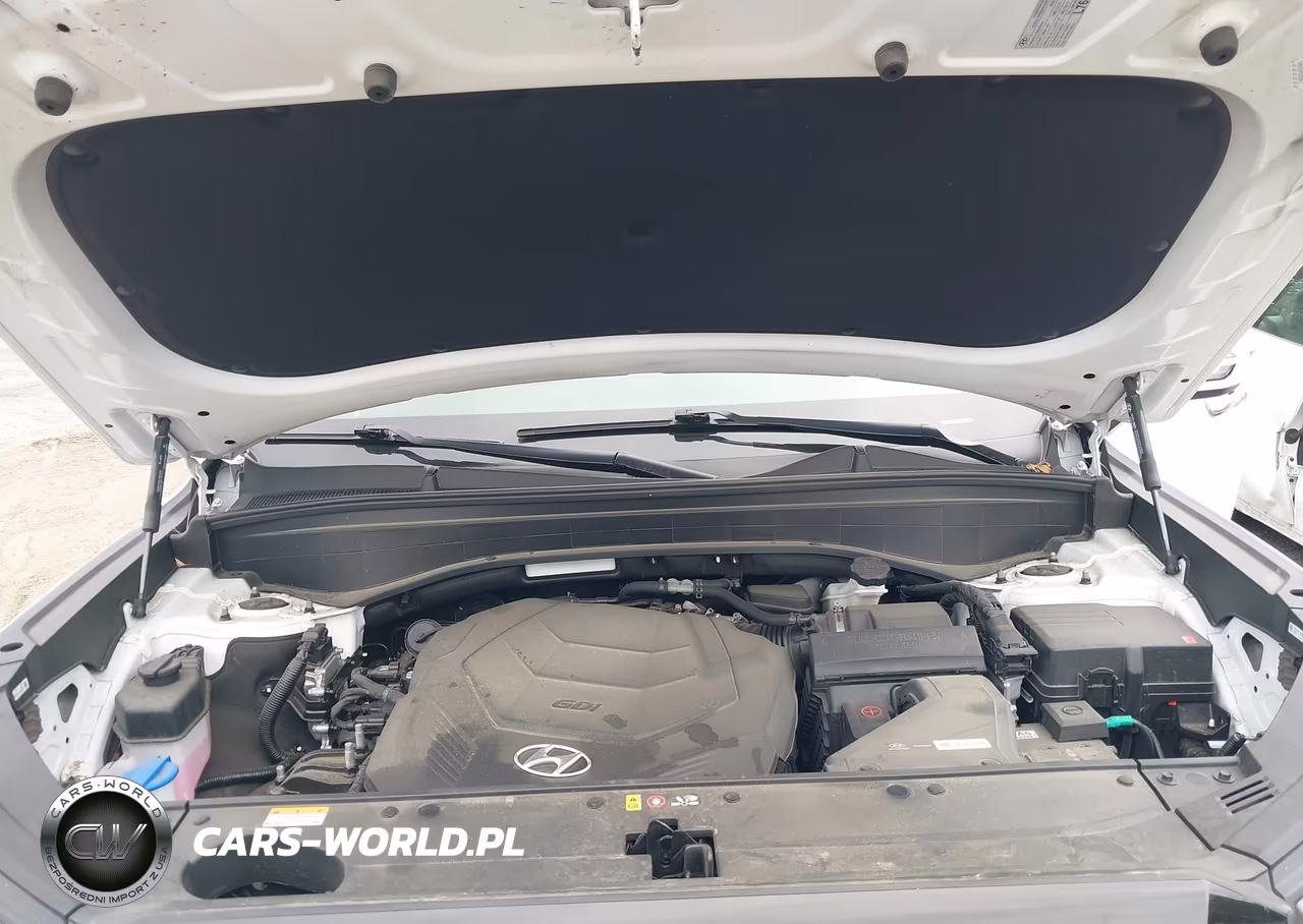 2025 Hyundai Palisade Sel VIN:KM8R2DGE9SU828517 - 10