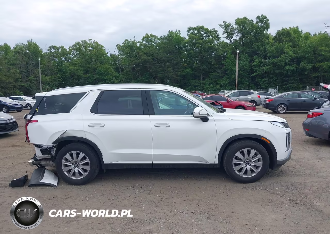 2025 Hyundai Palisade Sel VIN:KM8R2DGE9SU828517 - 13