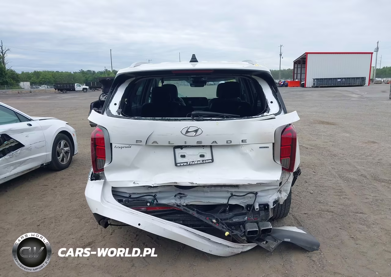 2025 Hyundai Palisade Sel VIN:KM8R2DGE9SU828517 - 16