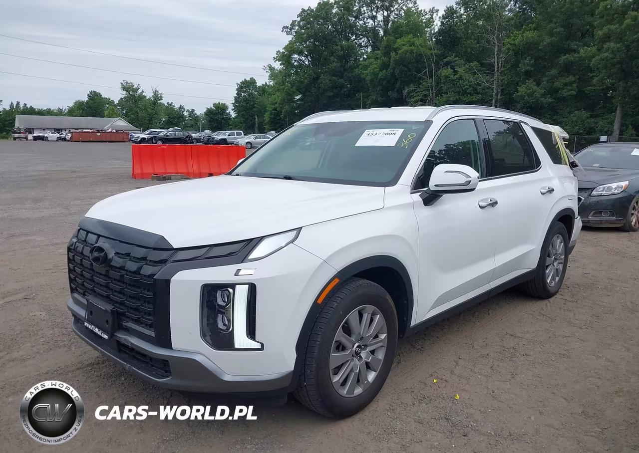 2025 Hyundai Palisade Sel VIN:KM8R2DGE9SU828517 - 2