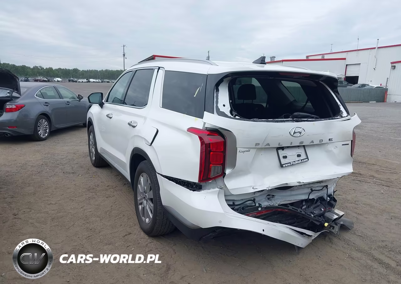 2025 Hyundai Palisade Sel VIN:KM8R2DGE9SU828517 - 3