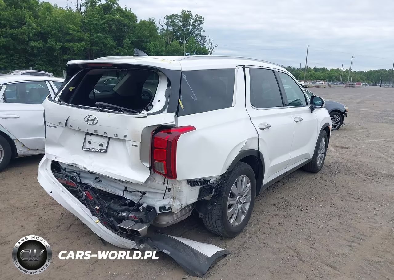 2025 Hyundai Palisade Sel VIN:KM8R2DGE9SU828517 - 4