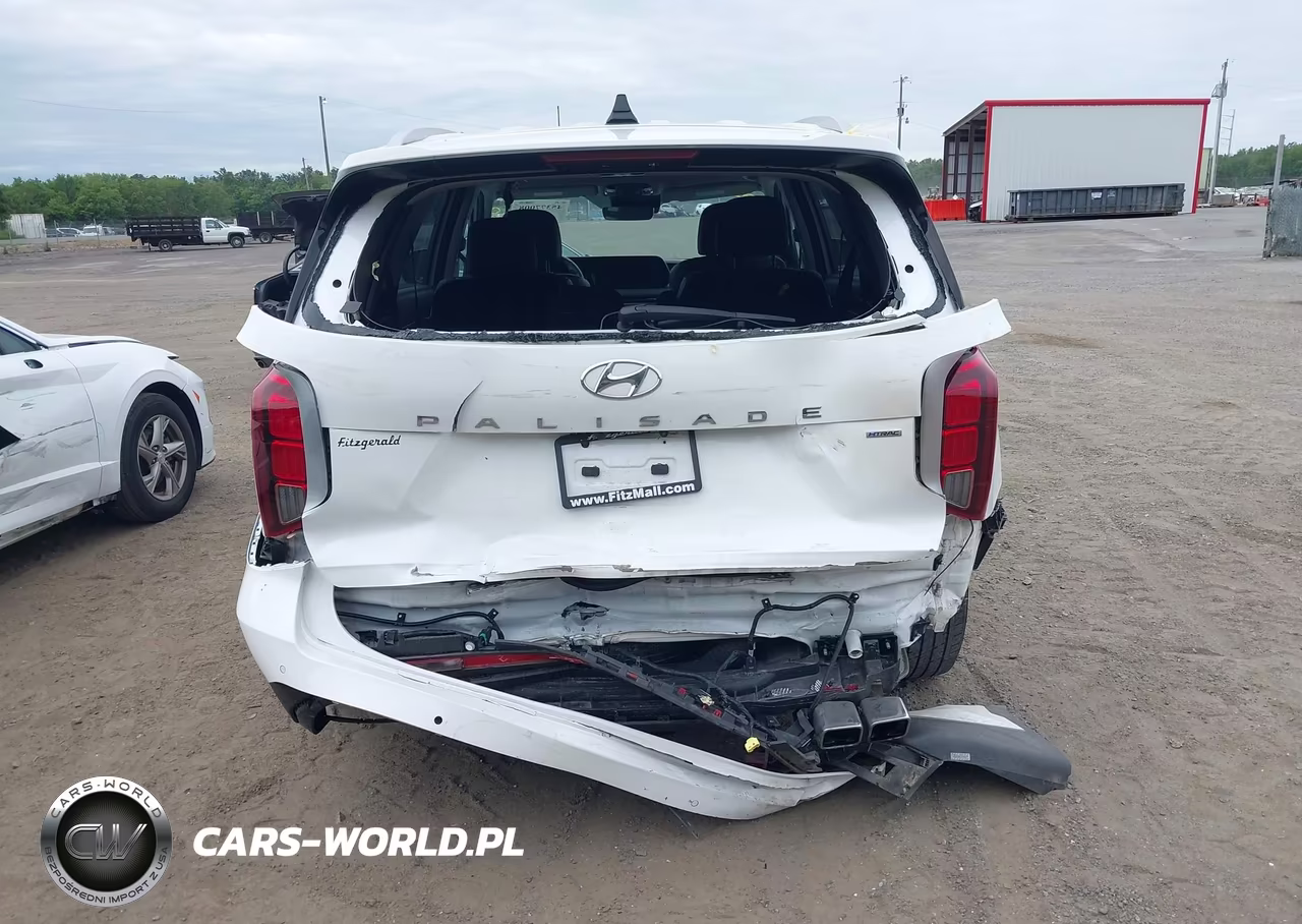 2025 Hyundai Palisade Sel VIN:KM8R2DGE9SU828517 - 6