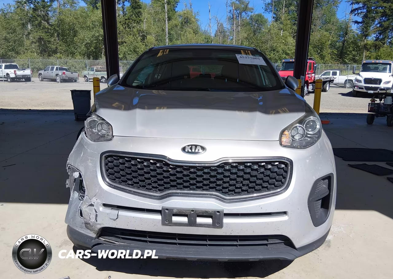2019 Kia Sportage Lx VIN:KNDPM3ACXK7504336 - 11