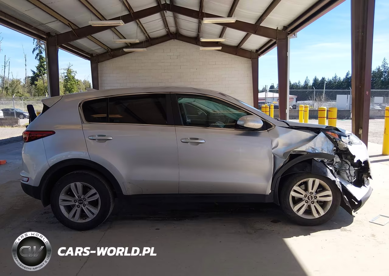 2019 Kia Sportage Lx VIN:KNDPM3ACXK7504336 - 12