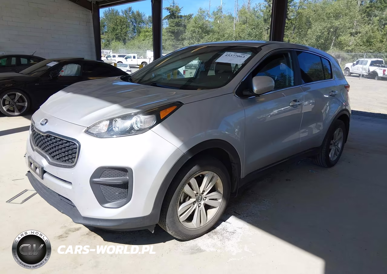 2019 Kia Sportage Lx VIN:KNDPM3ACXK7504336 - 2