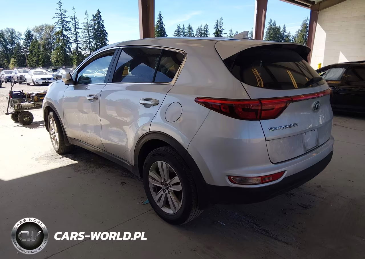 2019 Kia Sportage Lx VIN:KNDPM3ACXK7504336 - 3