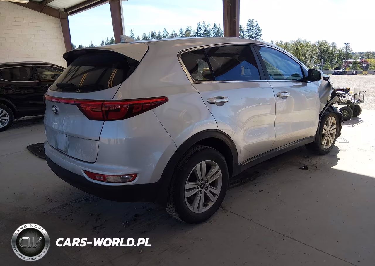 2019 Kia Sportage Lx VIN:KNDPM3ACXK7504336 - 4