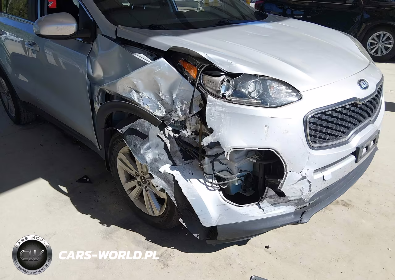 2019 Kia Sportage Lx VIN:KNDPM3ACXK7504336 - 6