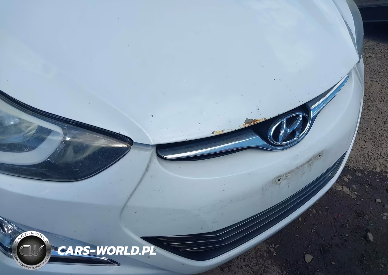 2016 Hyundai Elantra Value Edition VIN:5NPDH4AE1GH753450 - 6