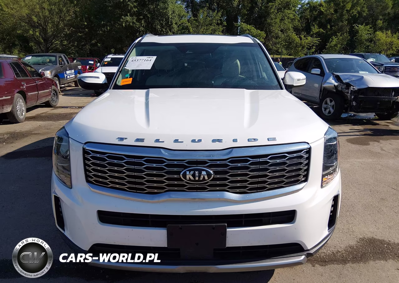 2020 Kia Telluride Ex VIN:5XYP34HC0LG024017 - 12