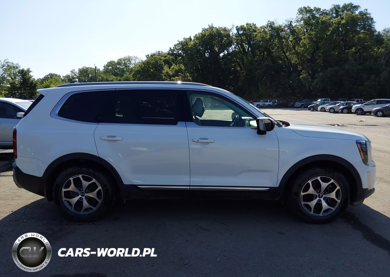 2020 Kia Telluride Ex VIN:5XYP34HC0LG024017 - 13