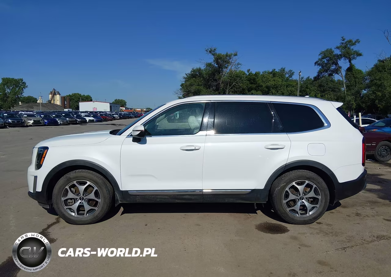 2020 Kia Telluride Ex VIN:5XYP34HC0LG024017 - 14