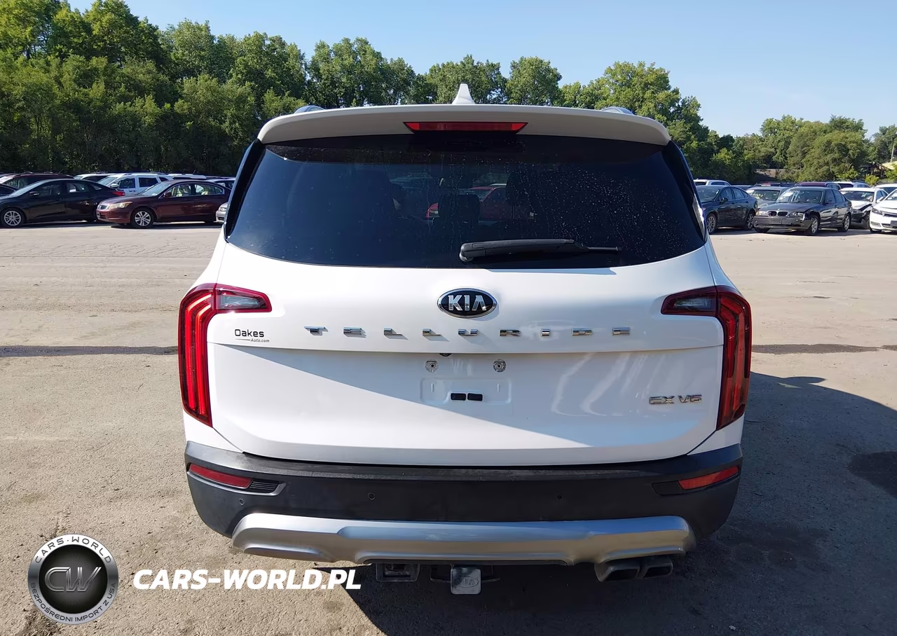 2020 Kia Telluride Ex VIN:5XYP34HC0LG024017 - 16