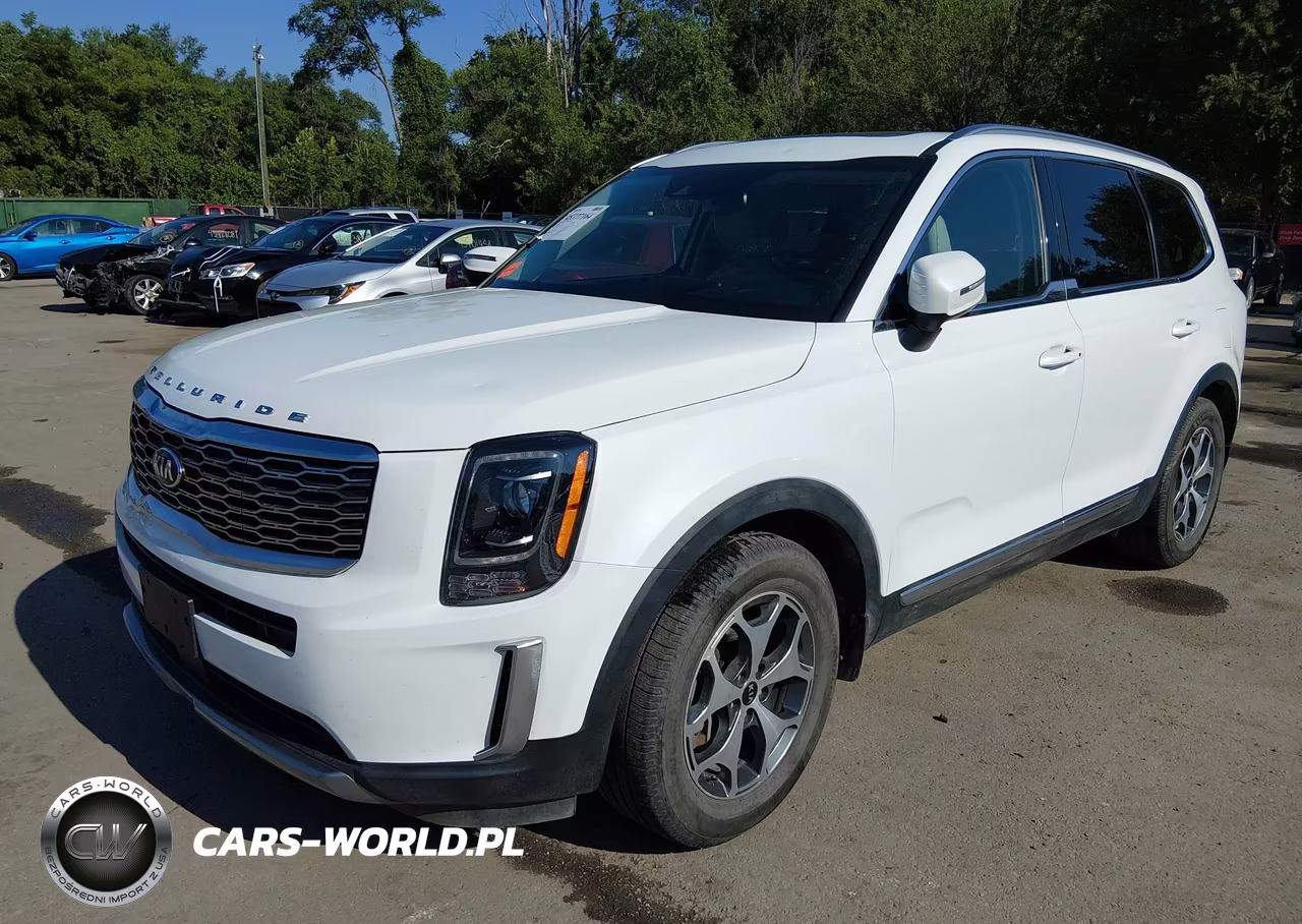 2020 Kia Telluride Ex VIN:5XYP34HC0LG024017 - 2