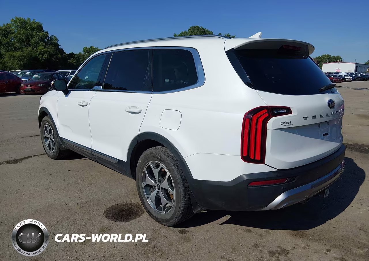 2020 Kia Telluride Ex VIN:5XYP34HC0LG024017 - 3