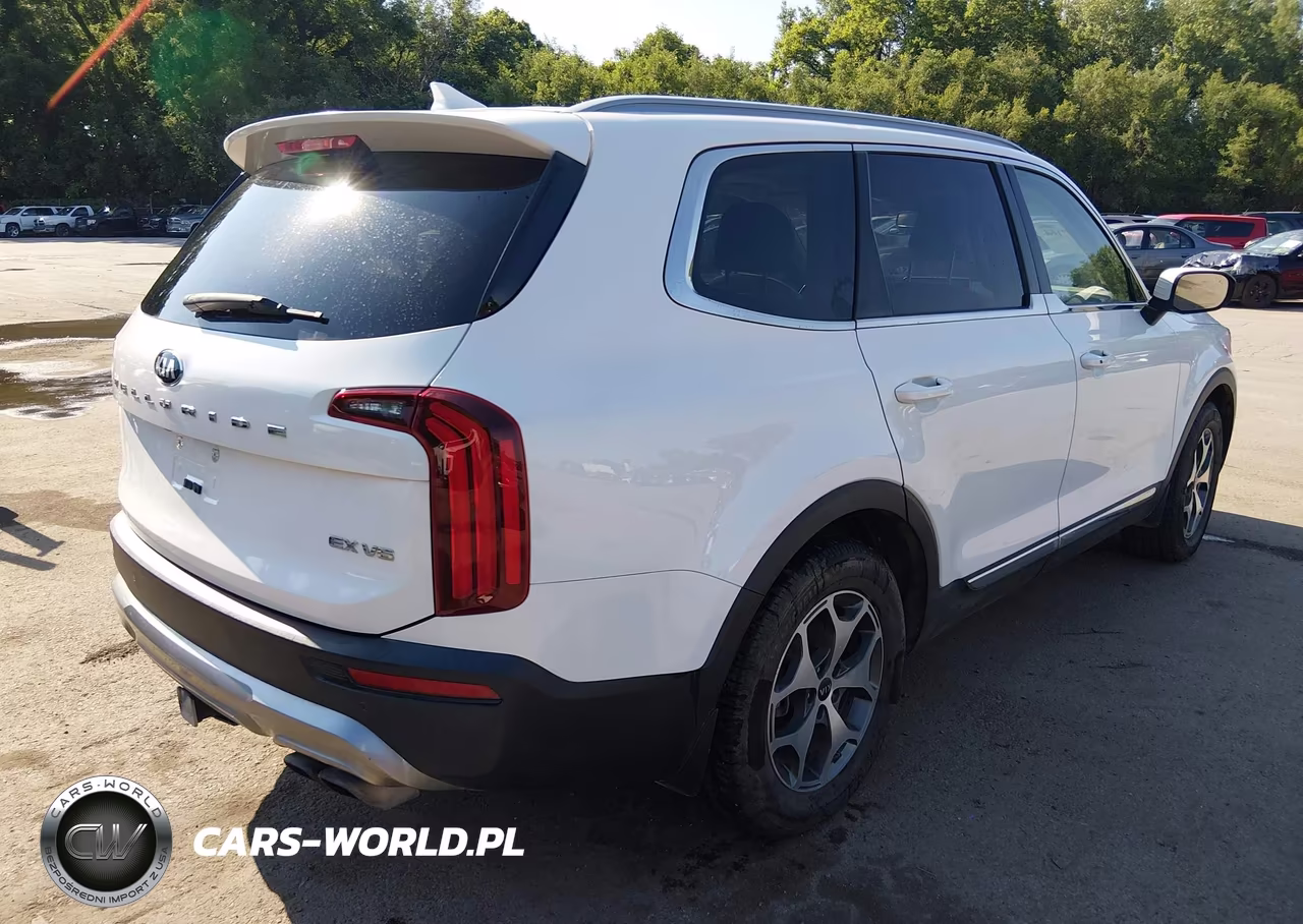 2020 Kia Telluride Ex VIN:5XYP34HC0LG024017 - 4