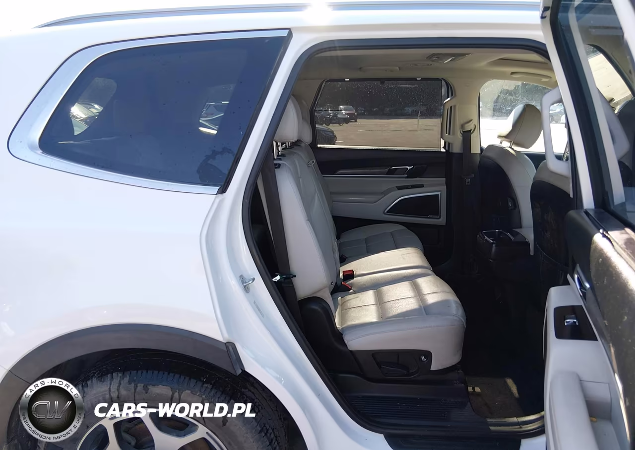 2020 Kia Telluride Ex VIN:5XYP34HC0LG024017 - 8