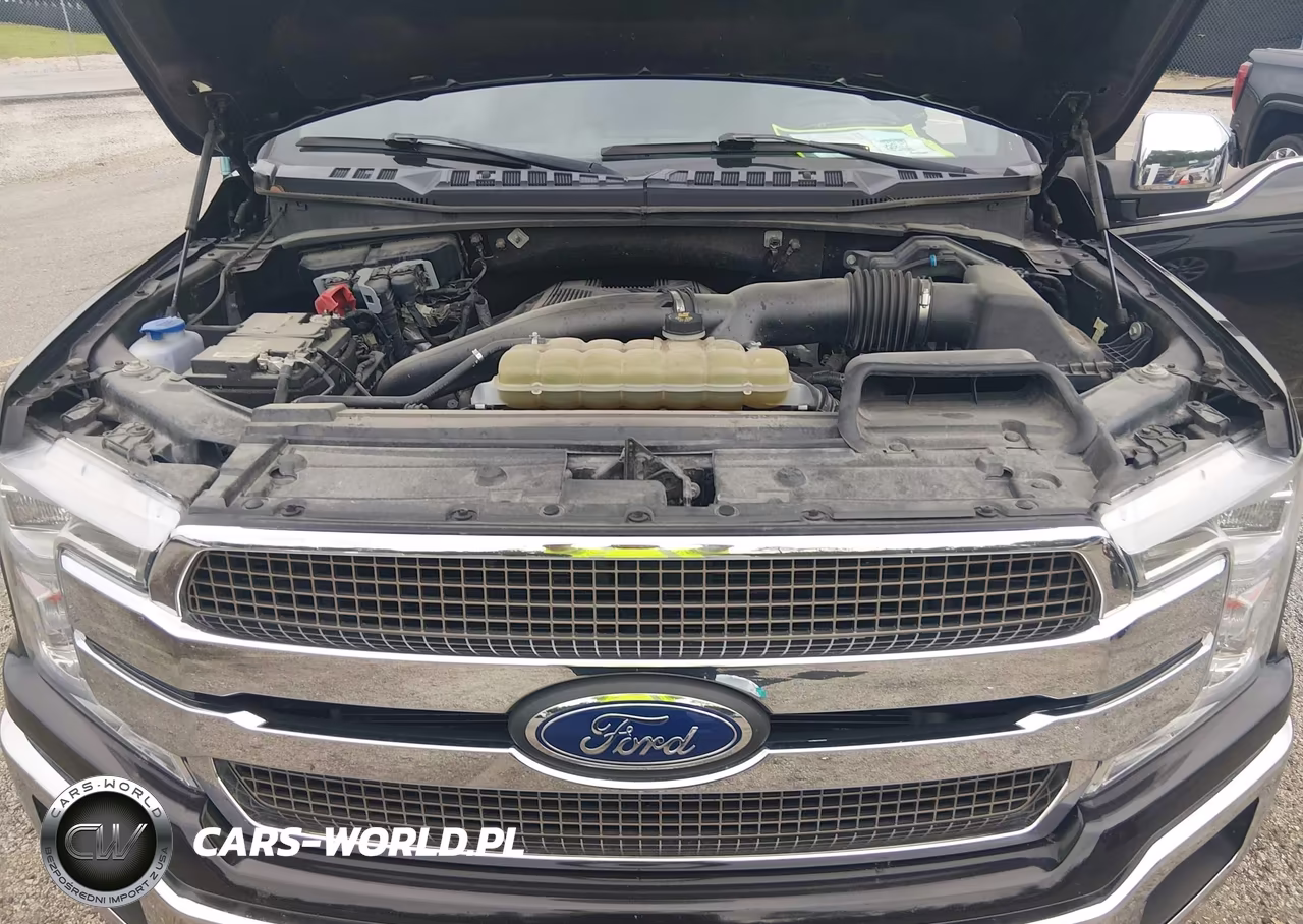 2020 Ford F-150 King Ranch VIN:1FTEW1E49LFB11380 - 10